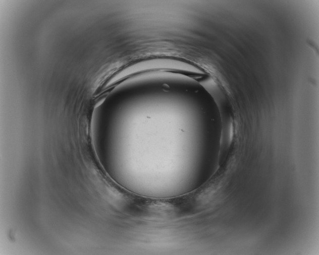 X0000099490397200805151412