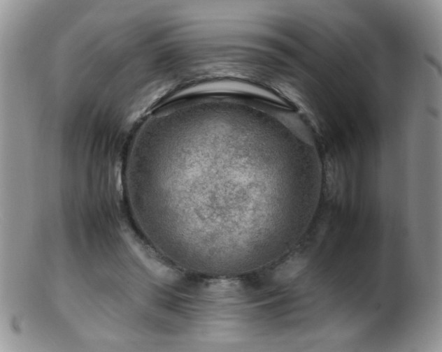 X0000099490398200805151412