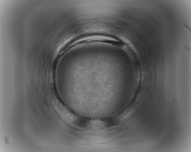 X0000099490399200805151412