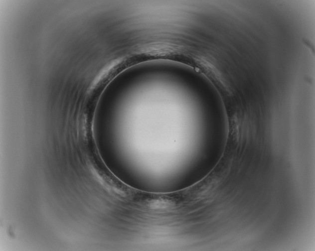 X0000099490400200805151412