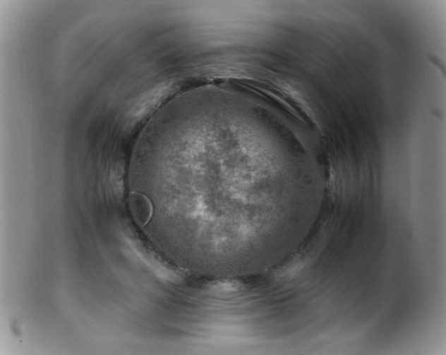 X0000099490402200805151412