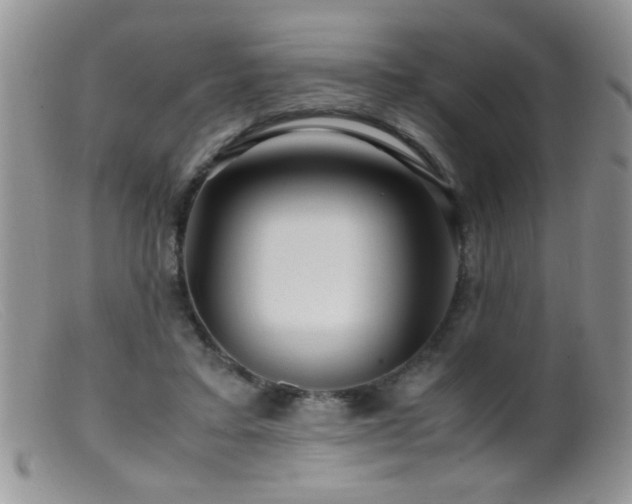 X0000099490403200805151412