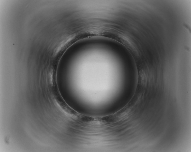X0000099490404200805151412