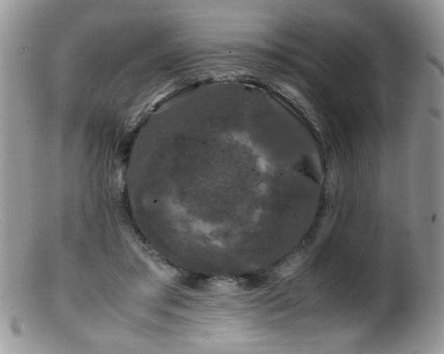 X0000099490405200805151412