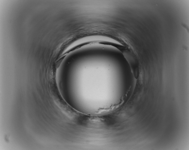 X0000099490407200805151412