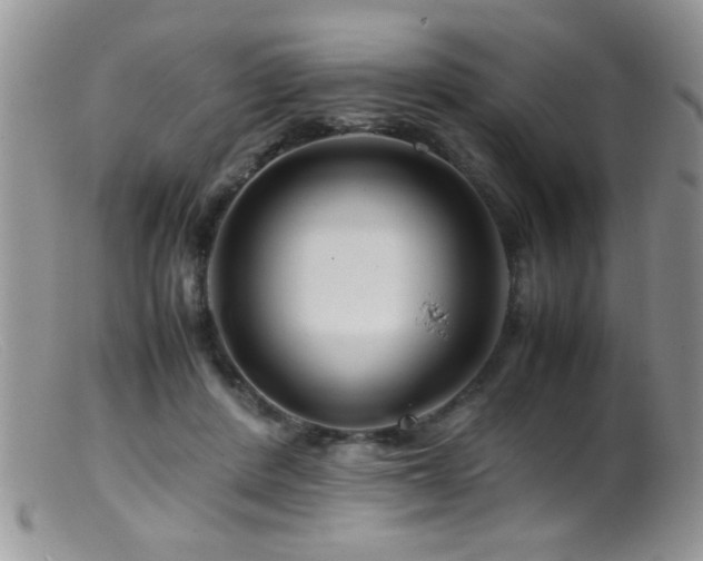 X0000099490408200805151412