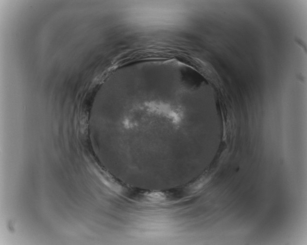 X0000099490409200805151412