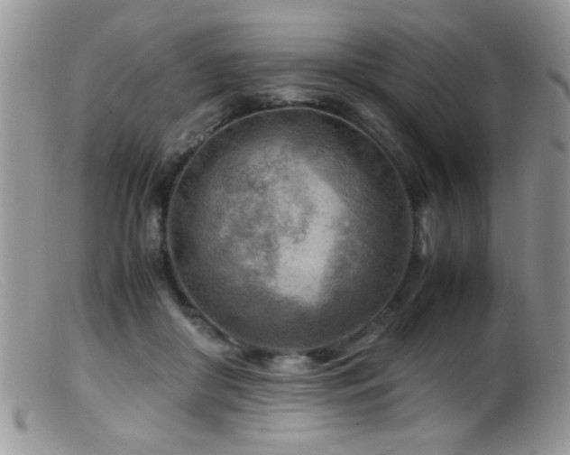 X0000099490410200805151412