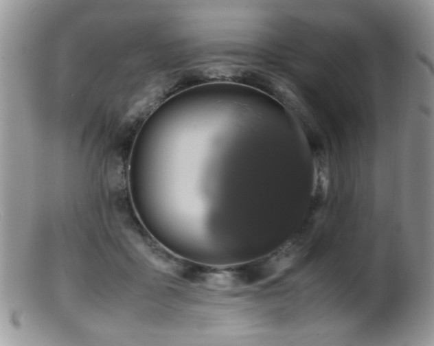 X0000099490411200805151412