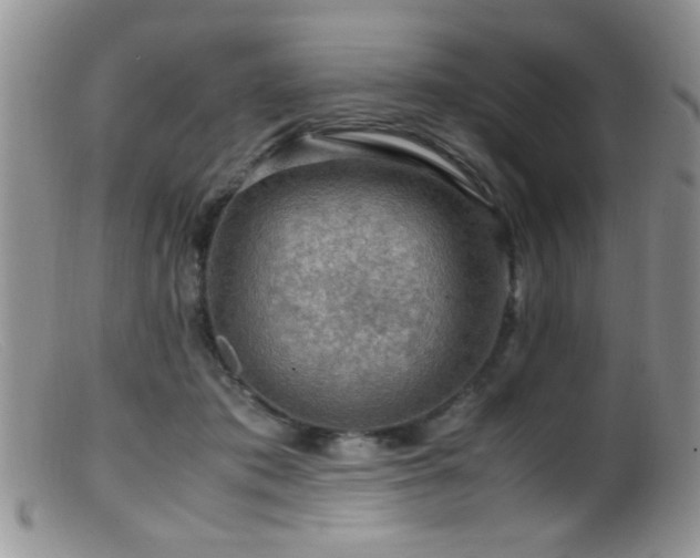 X0000099490413200805151412