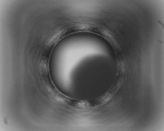 X0000099490415200805151412
