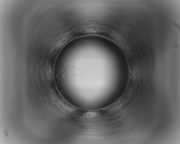 X0000099490418200805151412