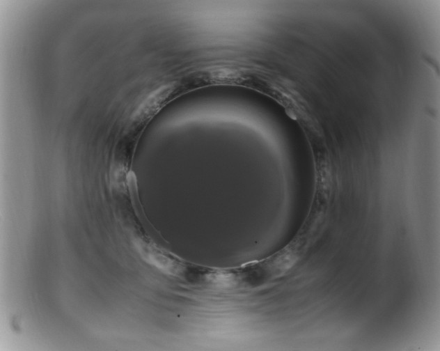 X0000099490419200805151411
