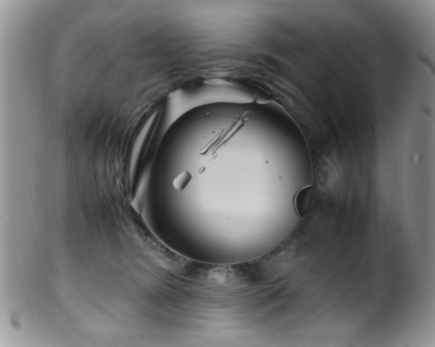 X0000099490420200805151411