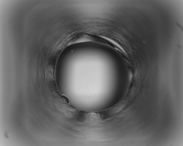 X0000099490421200805151411