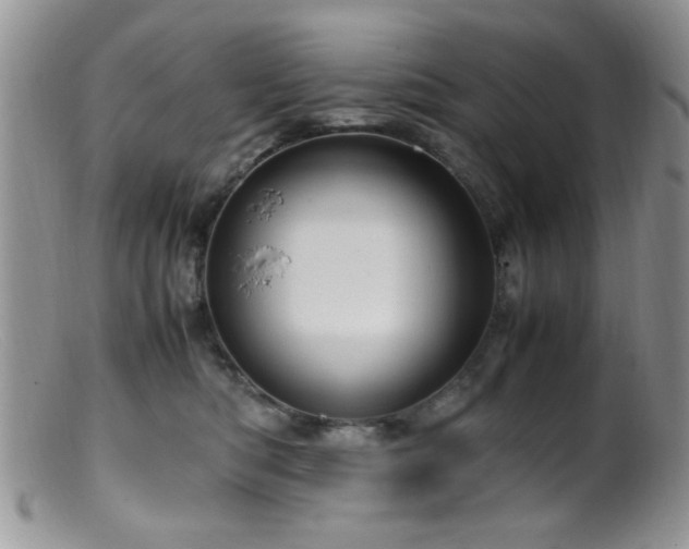 X0000099490422200805151411