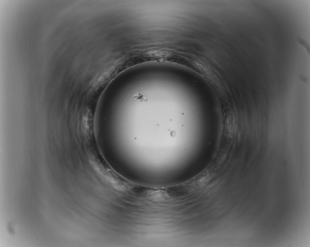 X0000099490424200805151411