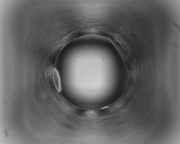 X0000099490425200805151411
