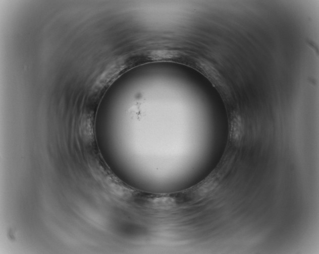 X0000099490426200805151411