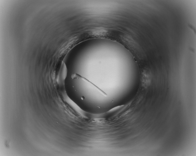 X0000099490428200805151411