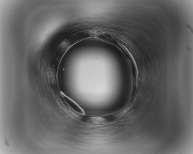 X0000099490429200805151411
