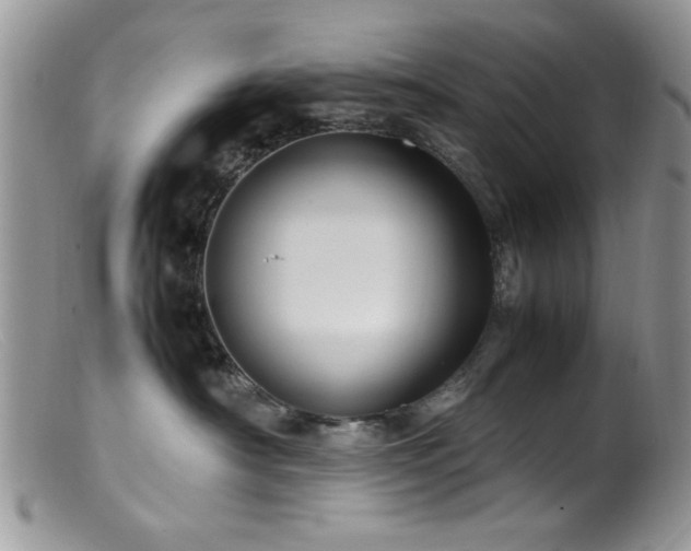 X0000099490430200805151411