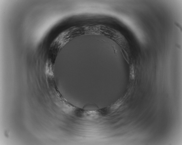 X0000099490431200805151411