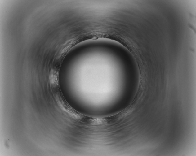 X0000099490432200805151411