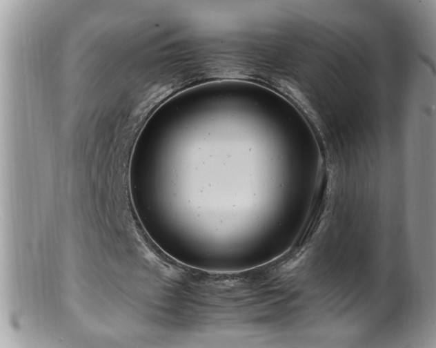 X0000099490433200805151411