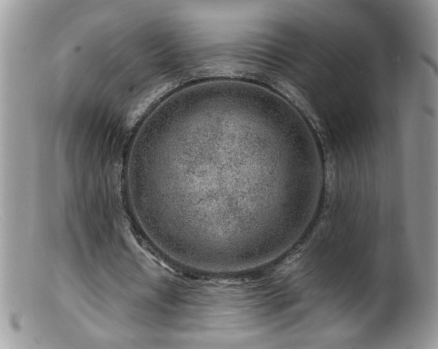 X0000099490434200805151411