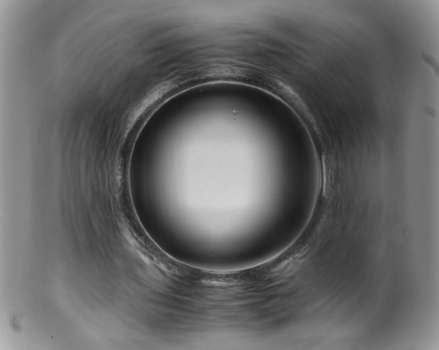 X0000099490435200805151411