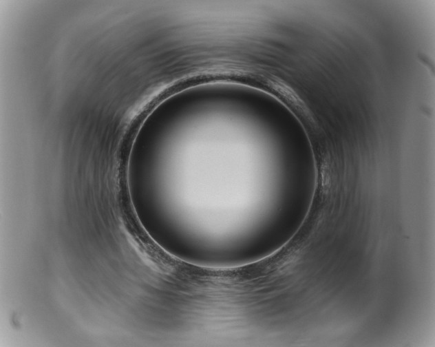 X0000099490436200805151411