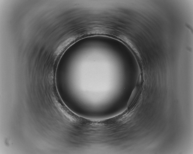 X0000099490437200805151411