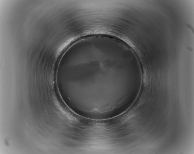 X0000099490438200805151411