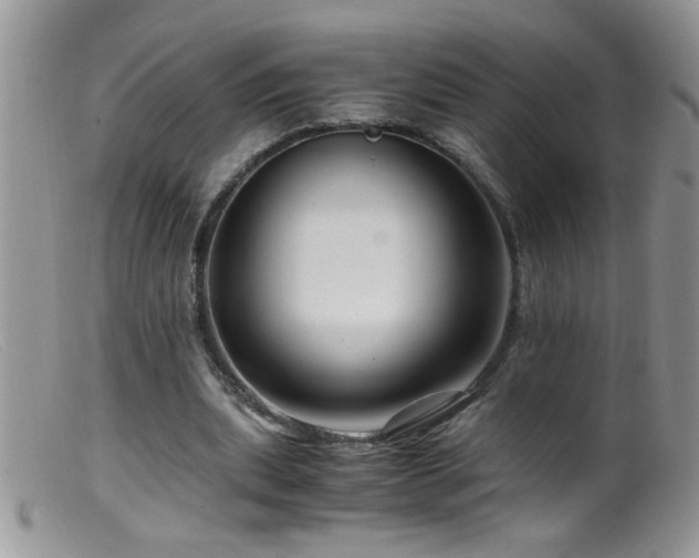X0000099490439200805151411