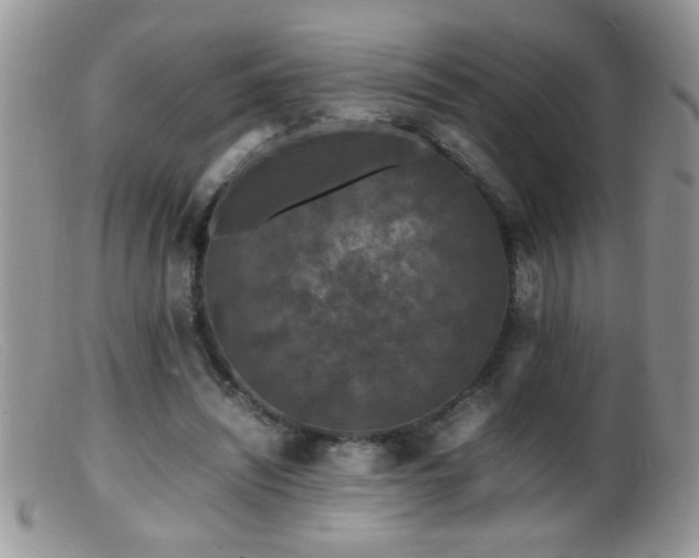 X0000099490444200805151411