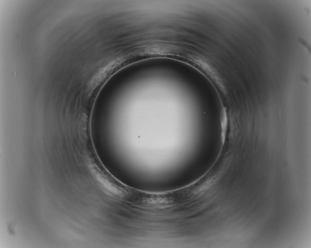 X0000099490445200805151411