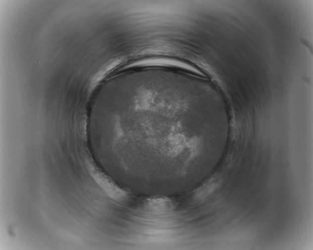 X0000099490446200805151411