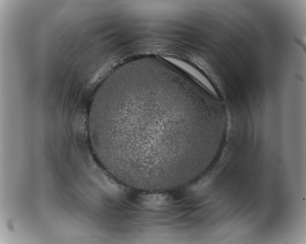 X0000099490449200805151411