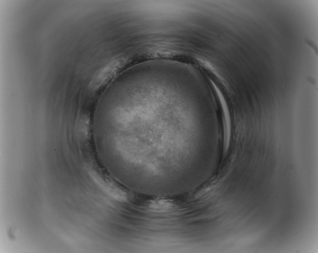 X0000099490451200805151411