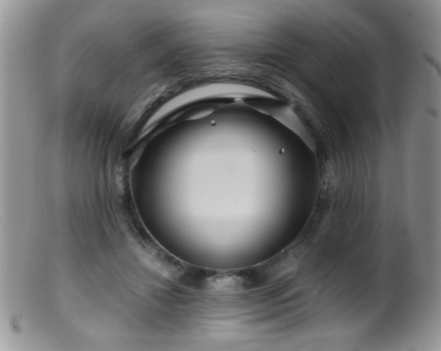 X0000099490452200805151411