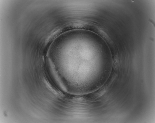 X0000099490454200805151411