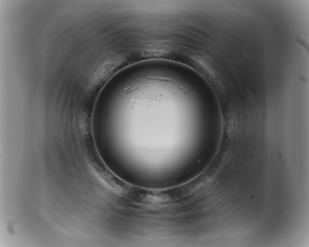 X0000099490455200805151411