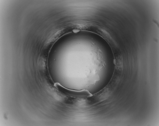 X0000099490456200805151411