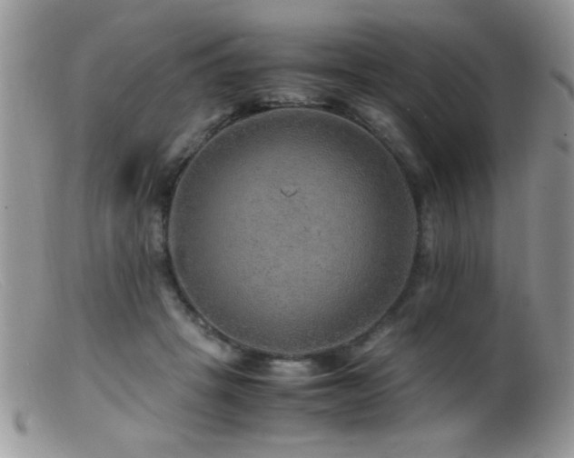 X0000099490457200805151411