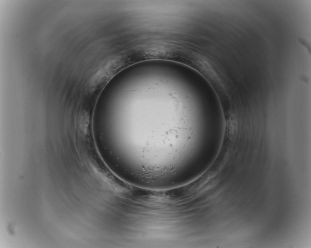 X0000099490458200805151411