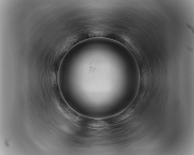 X0000099490459200805151411