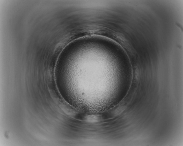 X0000099490461200805151411