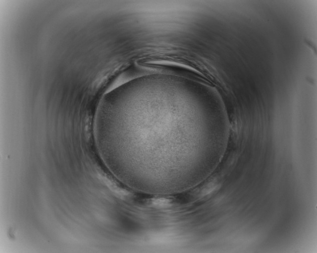 X0000099490462200805151411