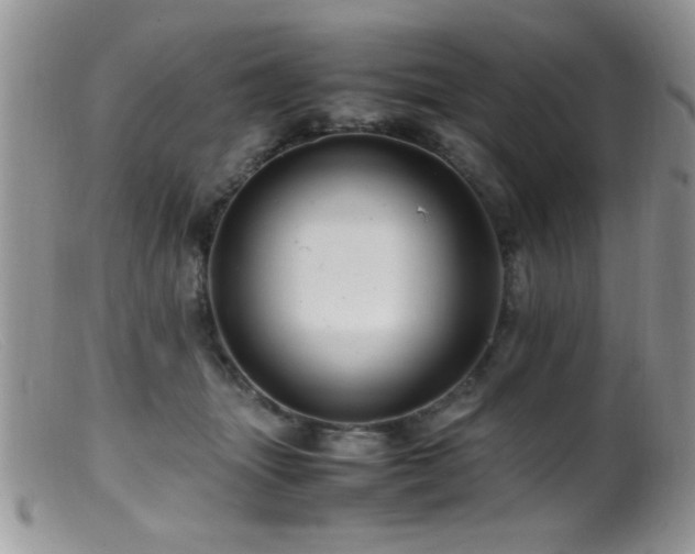 X0000099490463200805151411
